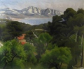 Marseille : Collines de Marseilleveyre - Exposition au Musée Paul Lafran