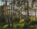 Sous-bois à la Sainte-Baume - Exposition au Musée Paul Lafran